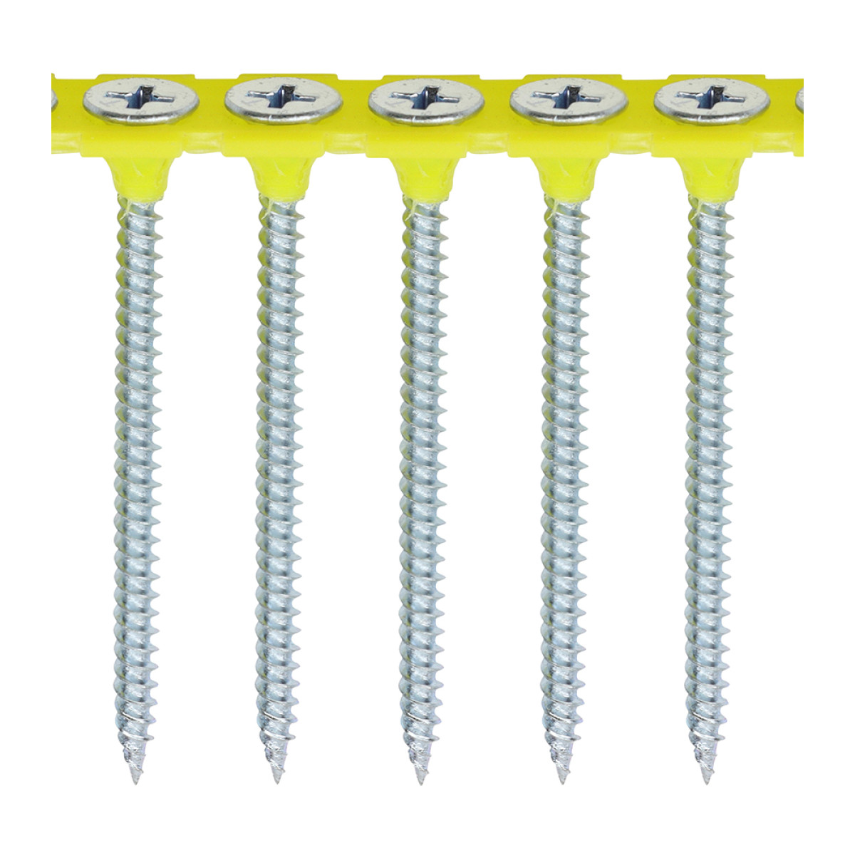 55MM COLLATED FINE THREAD DRYWALL SCREW