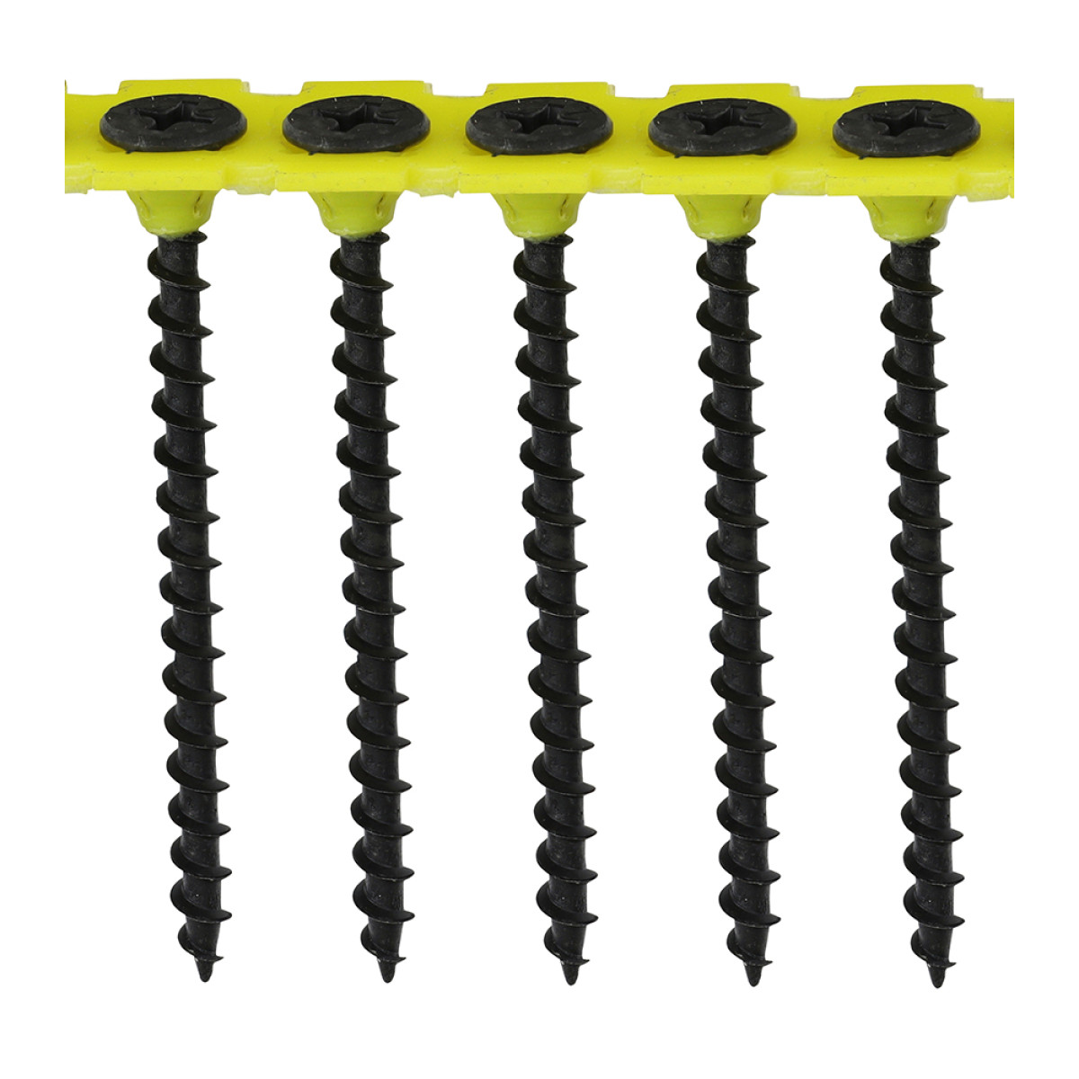 BLACK 55MM COLLATED DRYWALL COARSE SCREW
