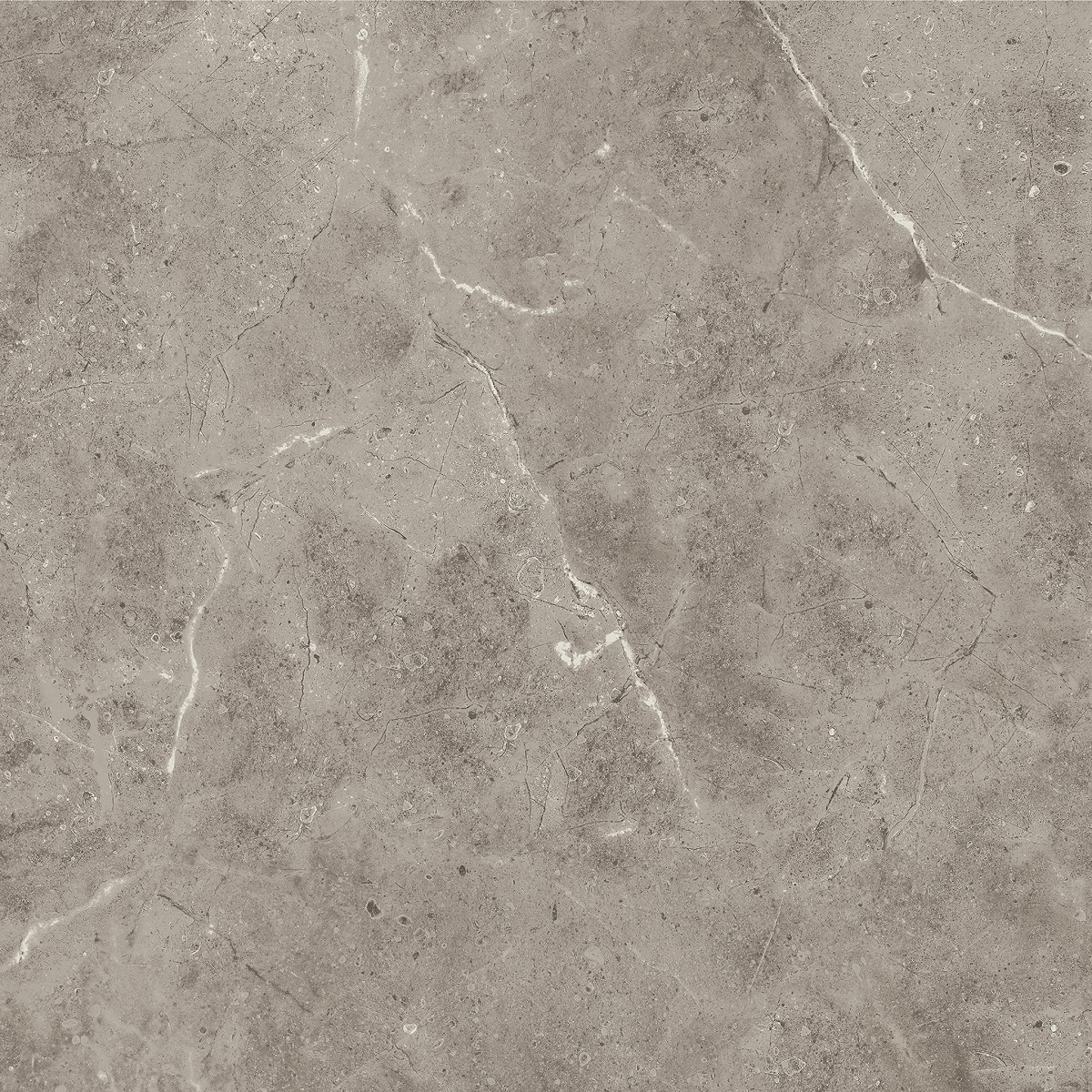 600 X 600 X VEINED STONE DARK GREIGE PORCELAIN