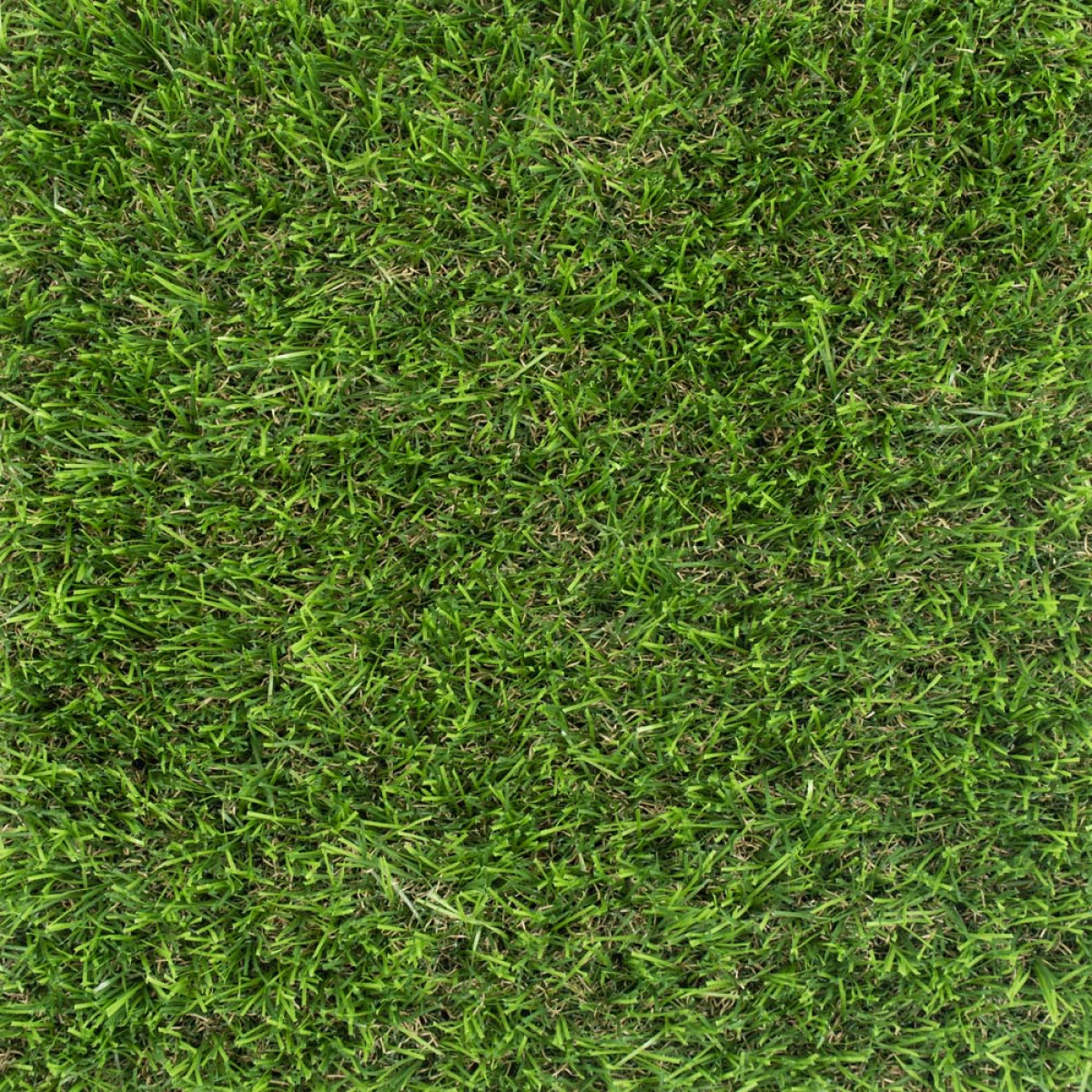 35MM DENA LUXURY ARTIFICIAL GRASS 4/M2