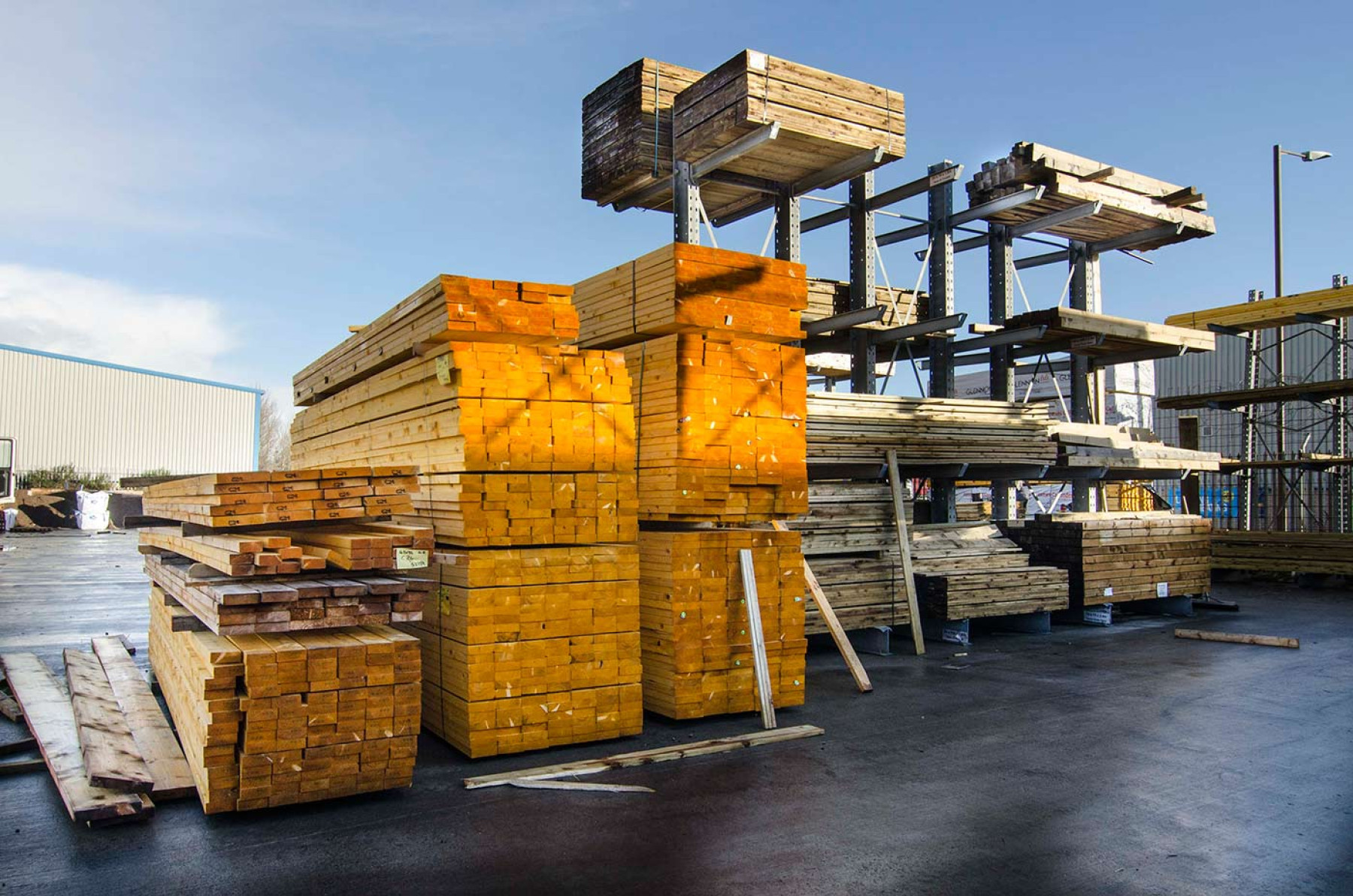 Timber Hardwood