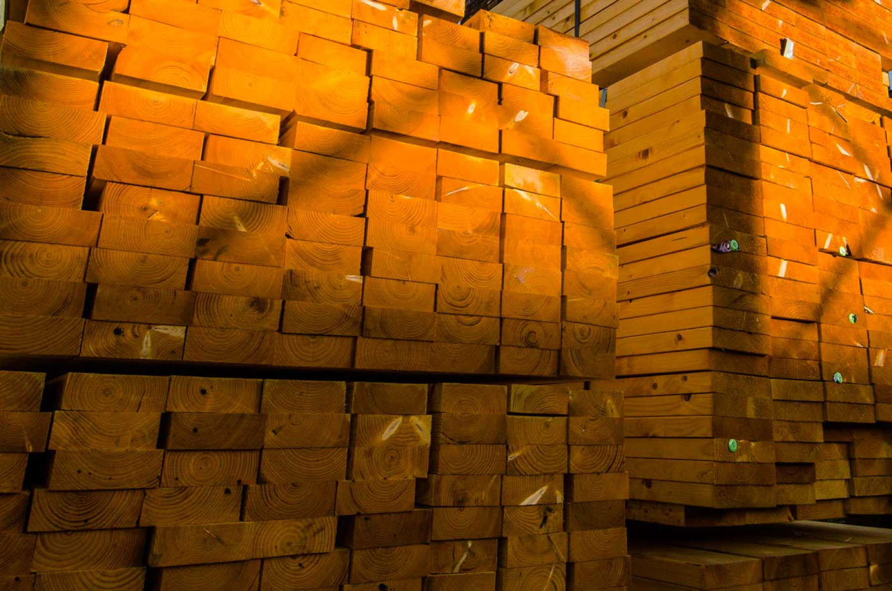 Timber Softwood